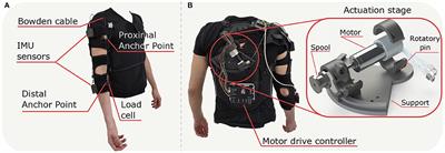 Relationship Between Muscular Activity and Assistance Magnitude for a Myoelectric Model Based Controlled Exosuit